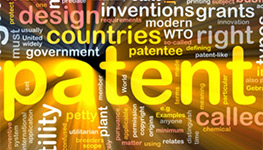 Patent Pilot Program Judges Paneling
